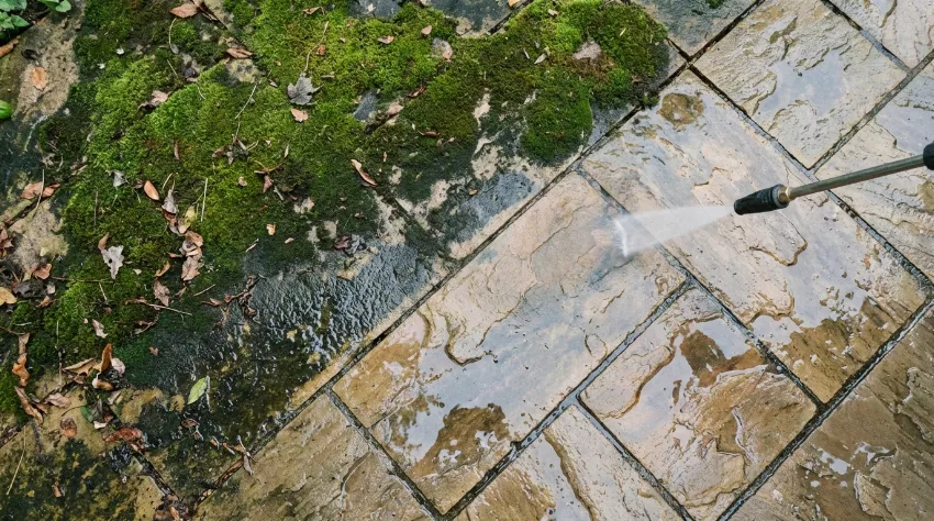 Primerjava umazanih in očiščenih tlakovcev z mahom